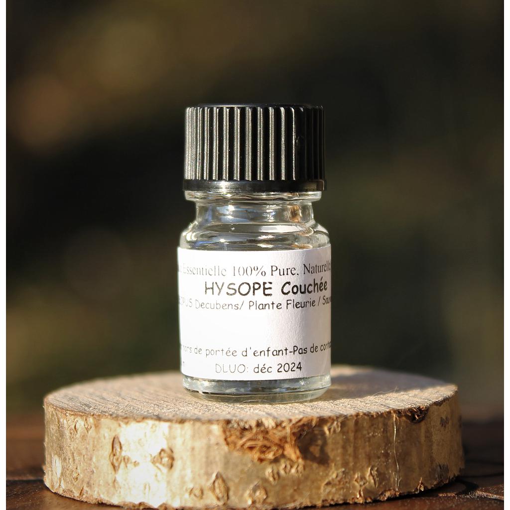 HE HYSOPE Couchée